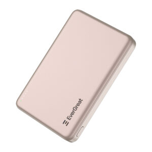 Power Bank E-PB66